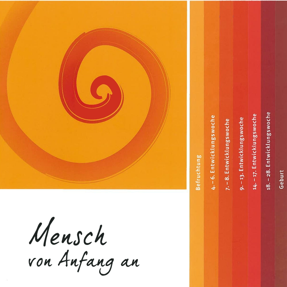 Mensch von Anfang an - Broschüre der Deutschen Bischofskonferenz