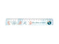 +Xaver: Lineal (20cm)
